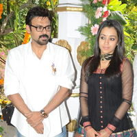Venky and Trisha New Movie Launch Stilss | Picture 33922